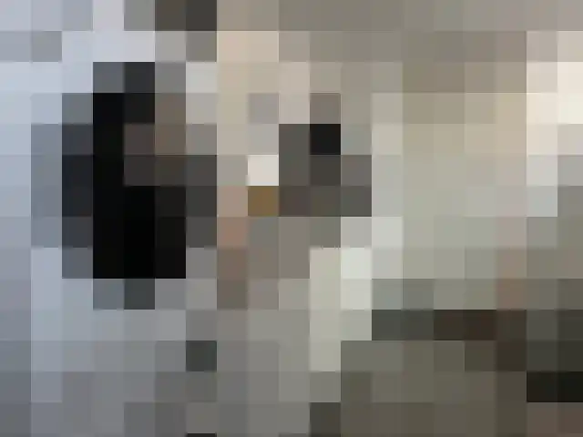 Molenwerf 12 Klazienaveen thumbnail 9