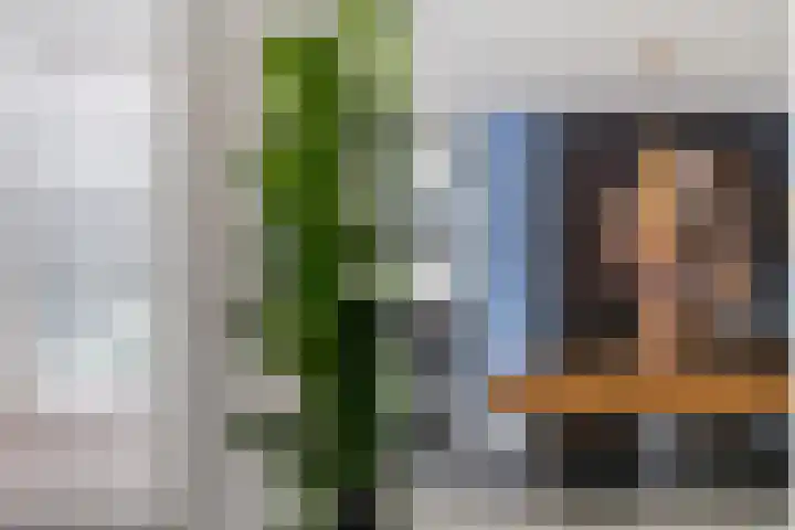 Molenwerf 13 Den Hoorn thumbnail 18