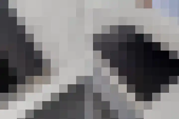 Molenwerf 13 Den Hoorn thumbnail 22