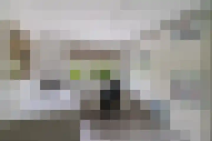 Molenwerf 13 Den Hoorn thumbnail 32
