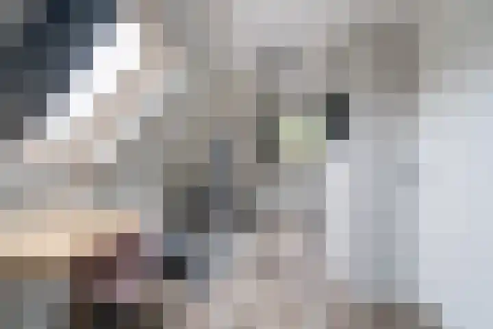 Molenwerf 13 Den Hoorn thumbnail 37