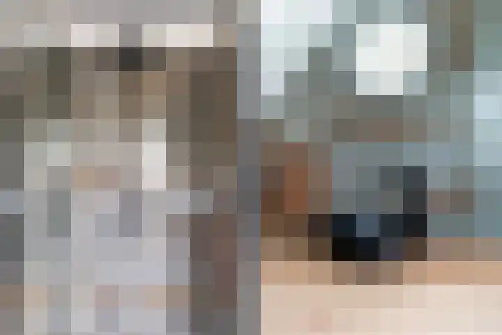 Molenwerf 13 Den Hoorn thumbnail 39