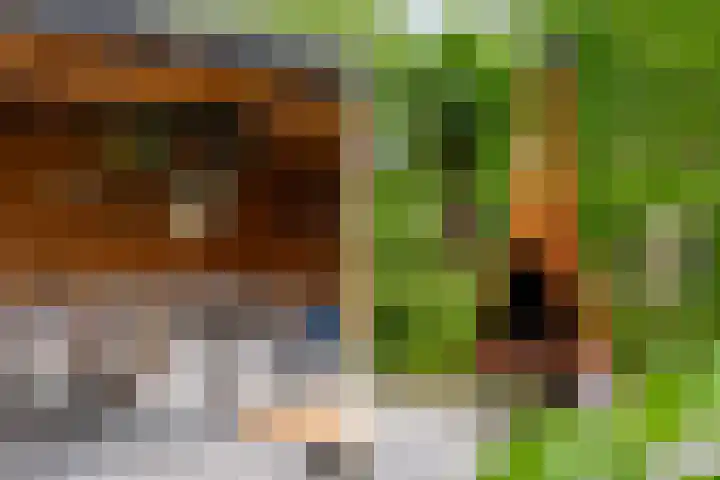 Molenwerf 13 Den Hoorn thumbnail 45