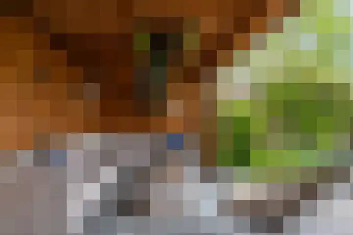 Molenwerf 13 Den Hoorn thumbnail 47