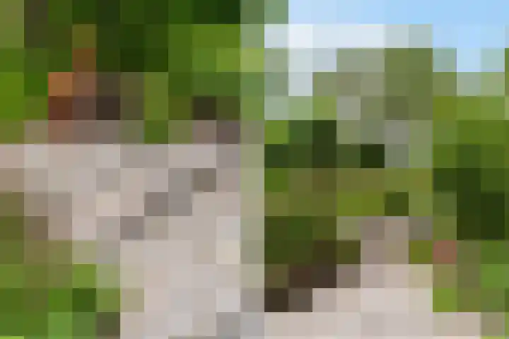 Molenwerf 13 Den Hoorn thumbnail 48