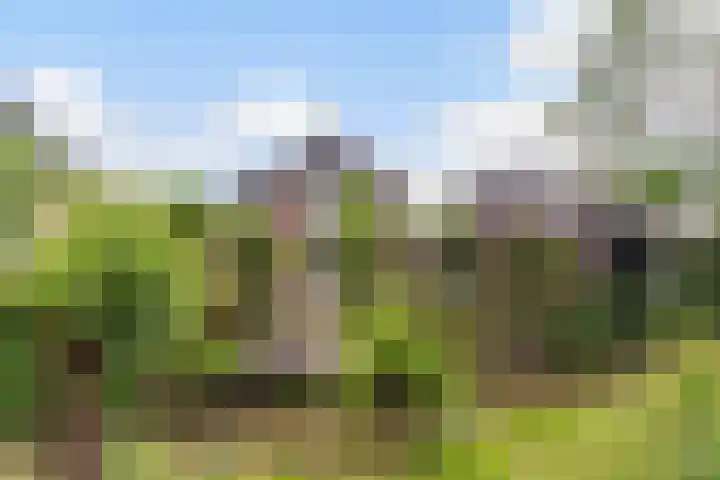 Molenwerf 13 Den Hoorn thumbnail 5