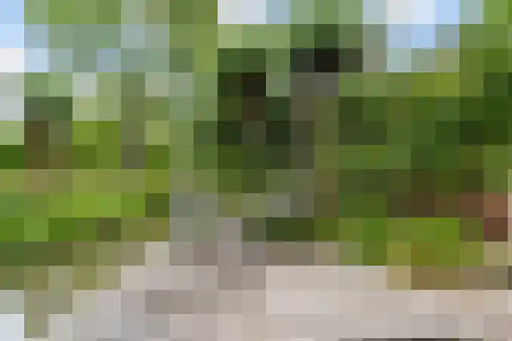 Molenwerf 13 Den Hoorn thumbnail 50