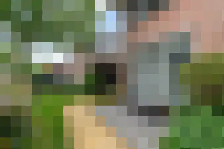 Molenwerf 13 Den Hoorn thumbnail 51