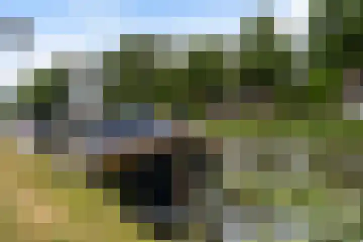 Molenwerf 13 Den Hoorn thumbnail 54