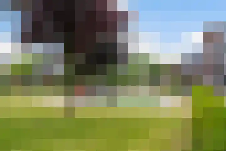 Molenwerf 13 Den Hoorn thumbnail 55