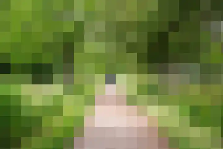 Molenwerf 13 Den Hoorn thumbnail 56