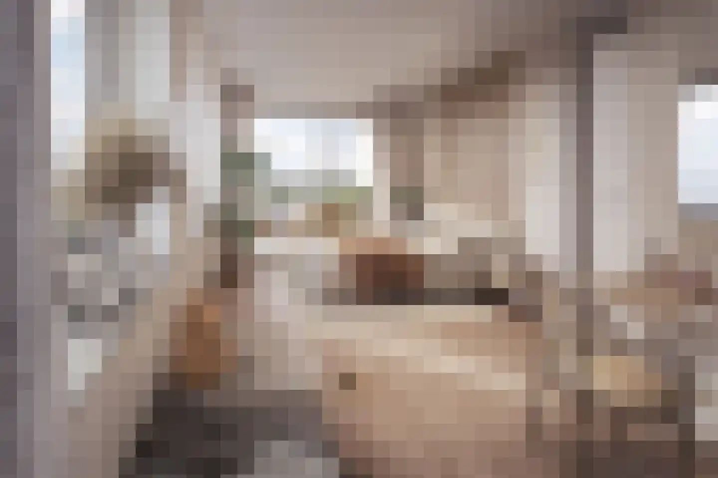 Molenwerf 134 Koog aan de Zaan thumbnail 12
