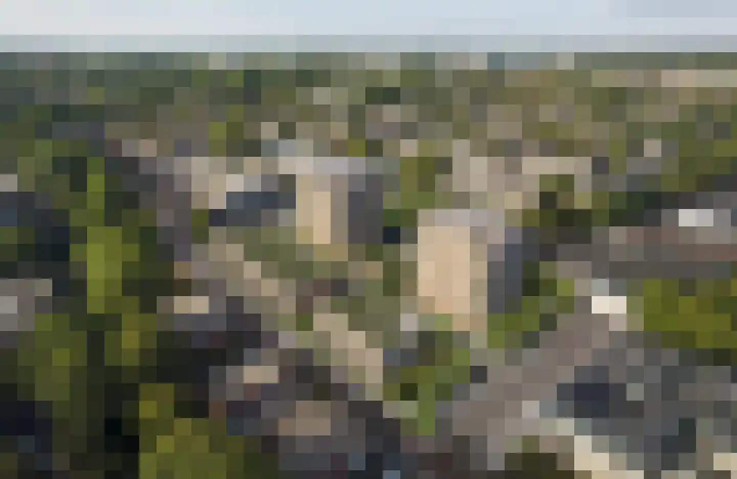 Molenwerf 134 Koog aan de Zaan thumbnail 14