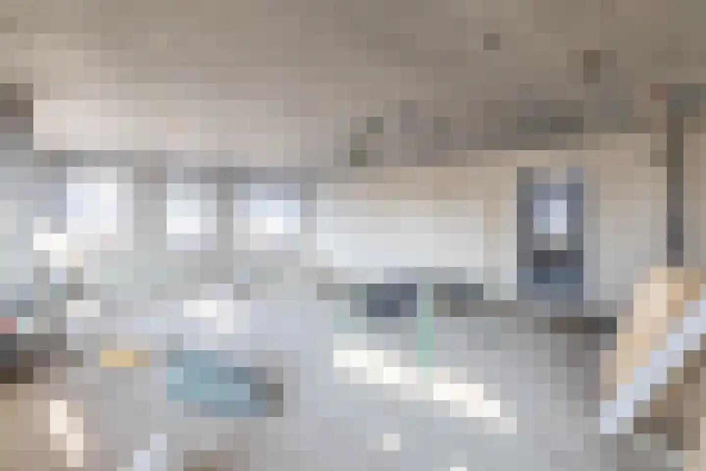 Molenwerf 134 Koog aan de Zaan thumbnail 9