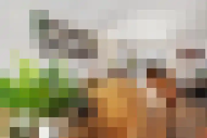 Molenwerf 18 Klazienaveen thumbnail 10