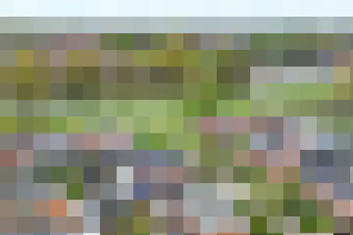 Molenwerf 18 Klazienaveen thumbnail 47