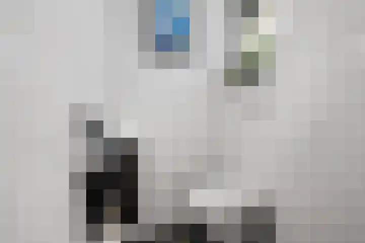 Molenwerf 18 Klazienaveen thumbnail 5