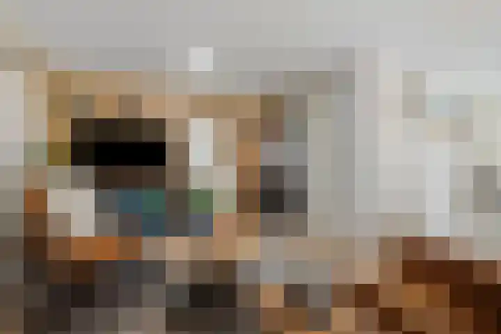 Molenwerf 18 Klazienaveen thumbnail 8