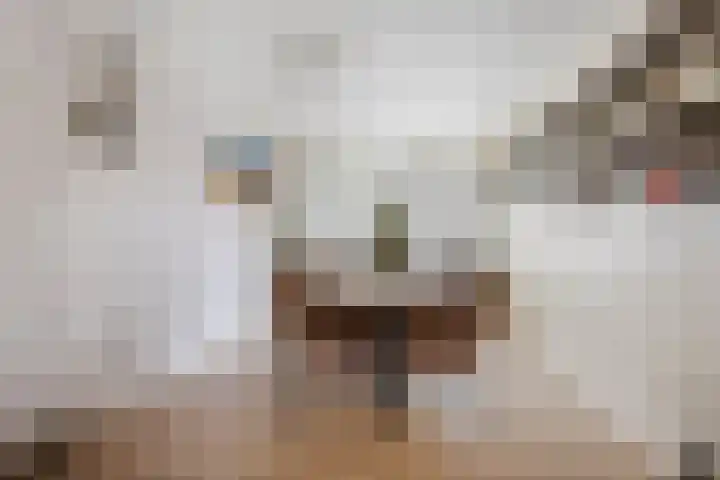 Molenwerf 18 Klazienaveen thumbnail 9