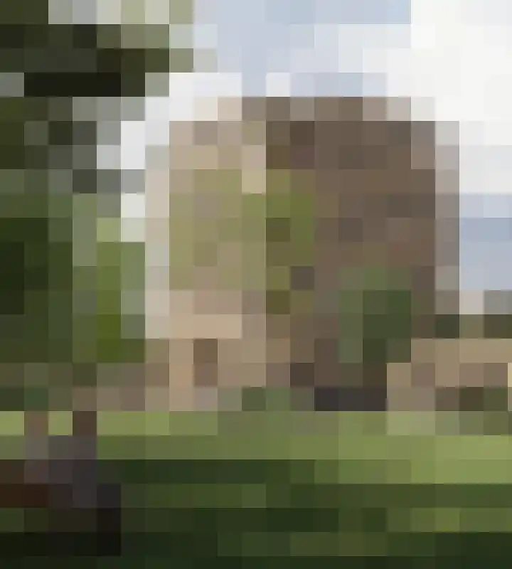 Molenwerf 28 Koog aan de Zaan thumbnail 4
