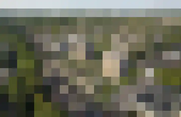 Molenwerf 28 Koog aan de Zaan thumbnail 9
