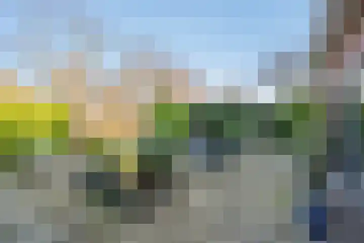 Molenwerf 29 Den Hoorn thumbnail 21