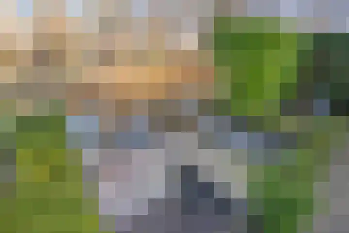 Molenwerf 29 Den Hoorn thumbnail 23