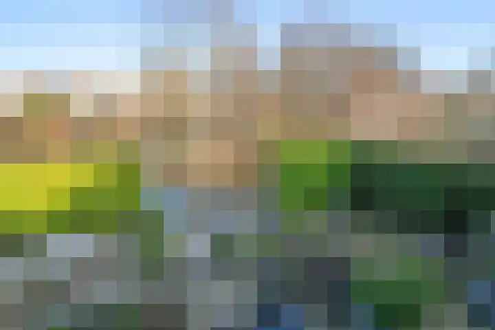 Molenwerf 29 Den Hoorn thumbnail 31