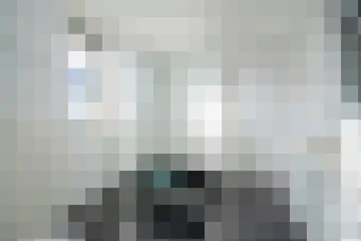 Molenwerf 29 Den Hoorn thumbnail 35