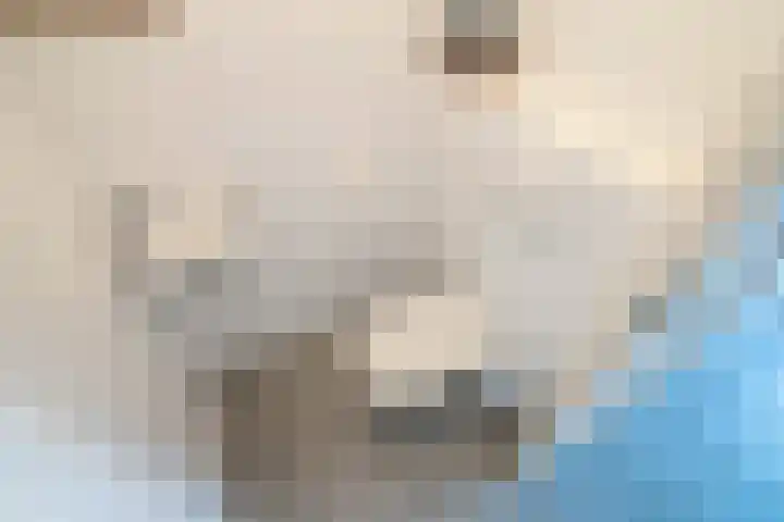 Molenwerf 29 Den Hoorn thumbnail 9