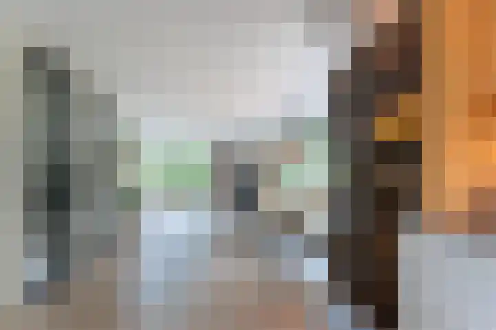 Molenwerf 31 Den Hoorn thumbnail 13