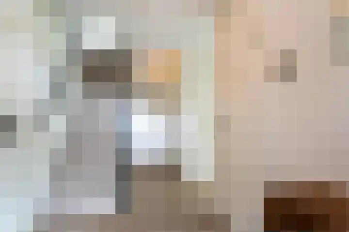 Molenwerf 31 Den Hoorn thumbnail 18