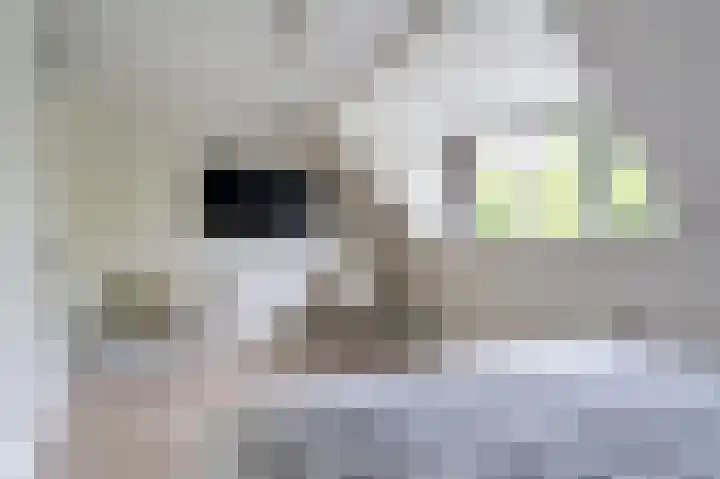 Molenwerf 31 Den Hoorn thumbnail 22