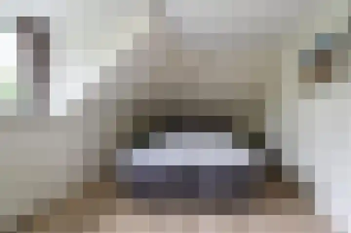 Molenwerf 31 Den Hoorn thumbnail 25