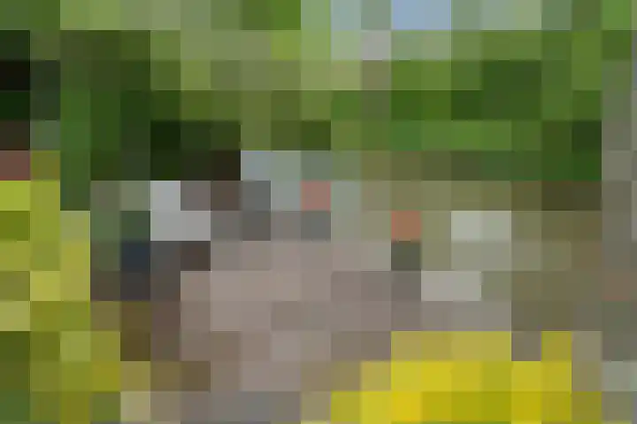 Molenwerf 31 Den Hoorn thumbnail 42