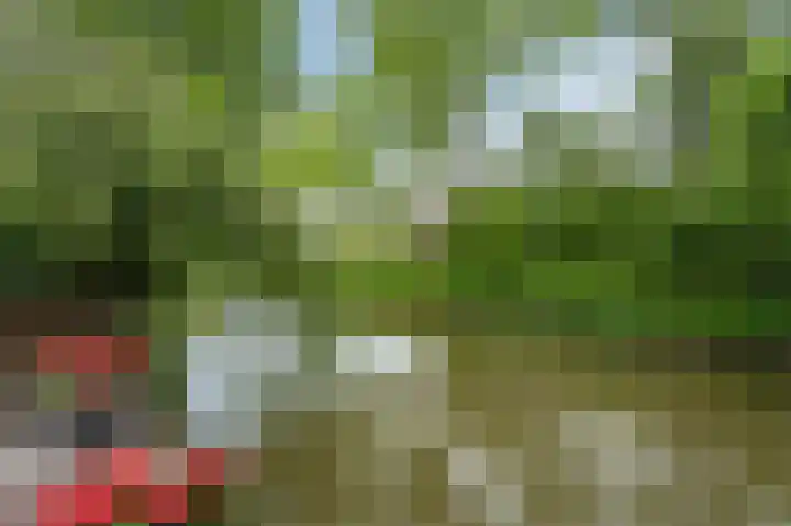 Molenwerf 31 Den Hoorn thumbnail 44