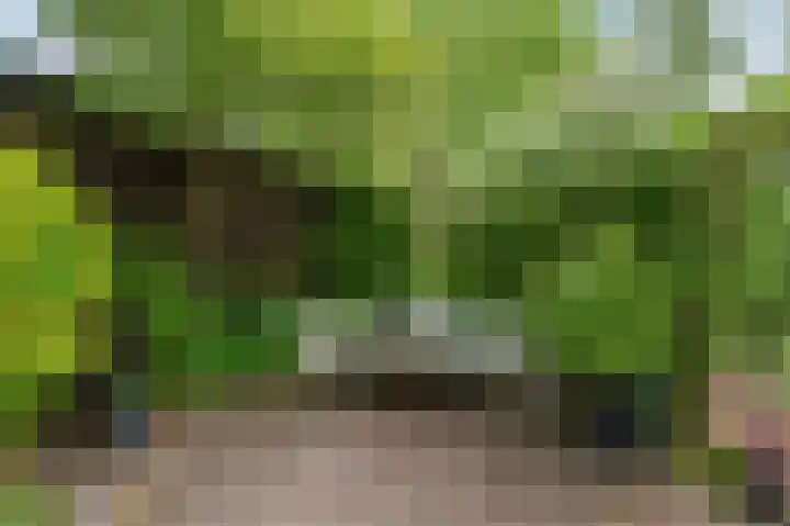 Molenwerf 31 Den Hoorn thumbnail 46