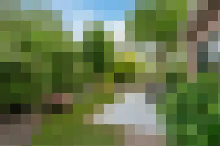Molenwerf 31 Den Hoorn thumbnail 48