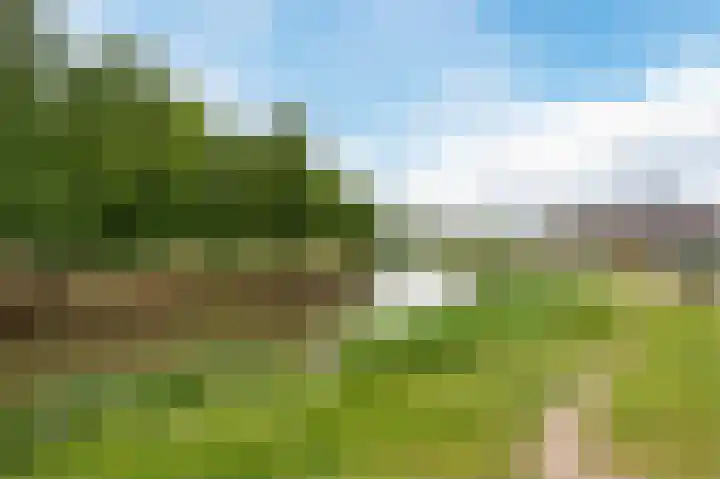 Molenwerf 31 Den Hoorn thumbnail 52