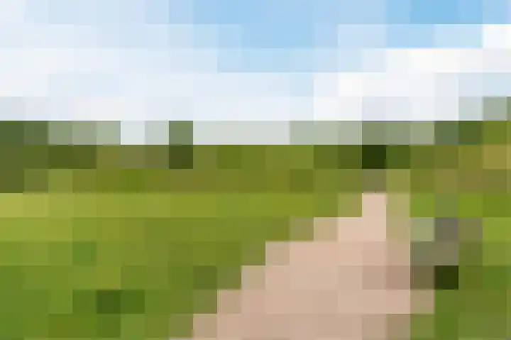 Molenwerf 31 Den Hoorn thumbnail 53