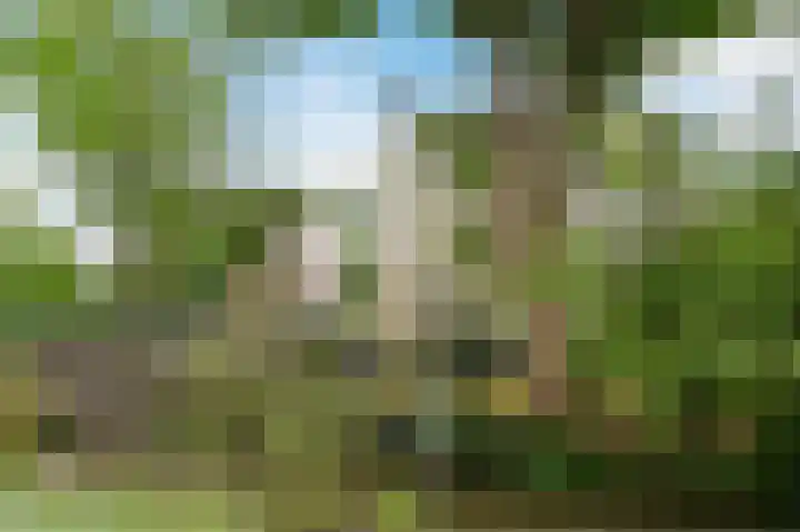 Molenwerf 31 Den Hoorn thumbnail 57