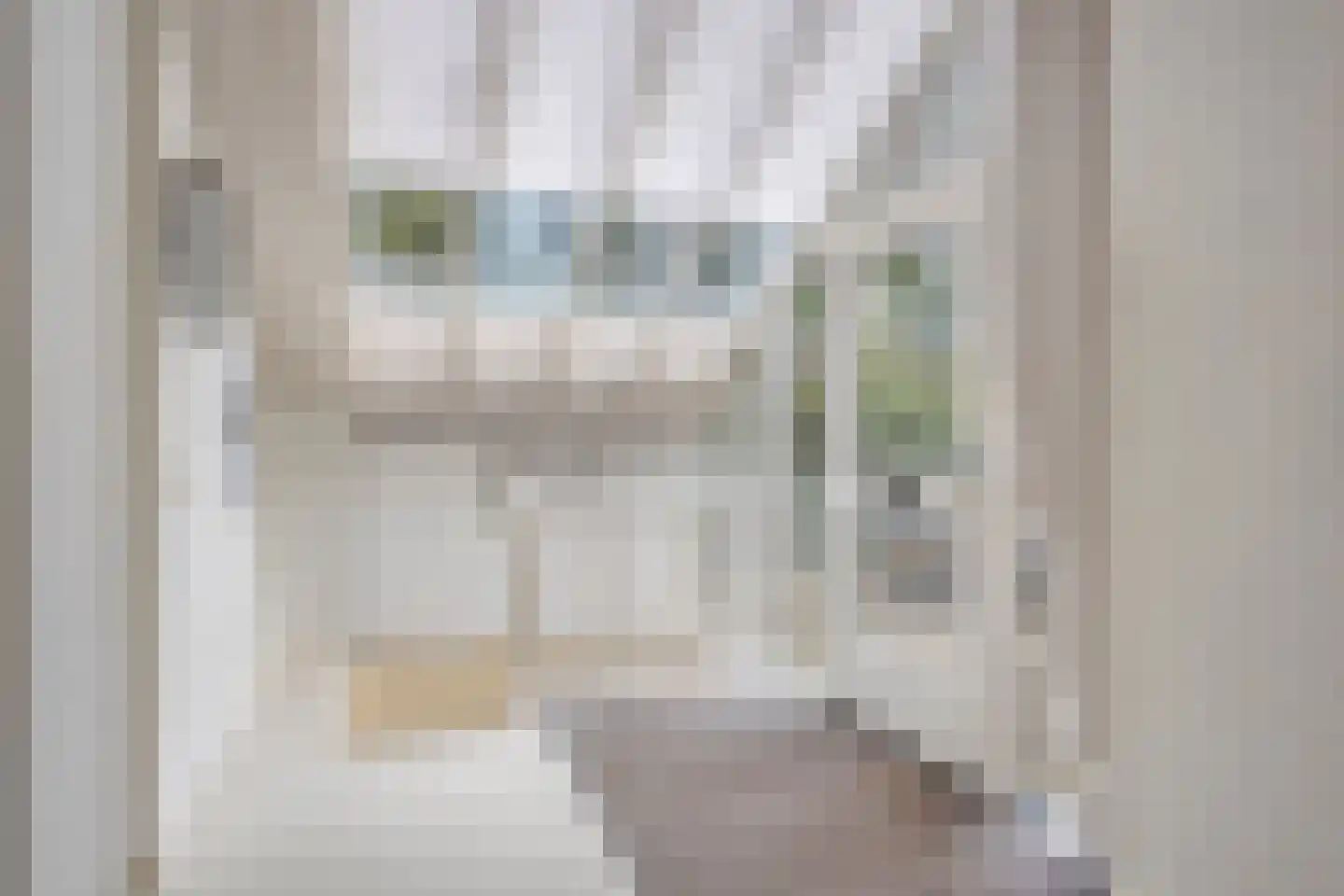Molenwerf 4 Edam thumbnail 10