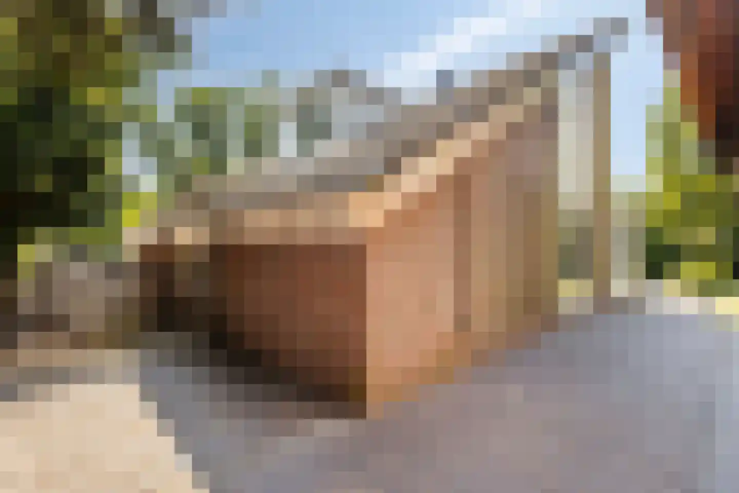 Molenwerf 4 Edam thumbnail 12