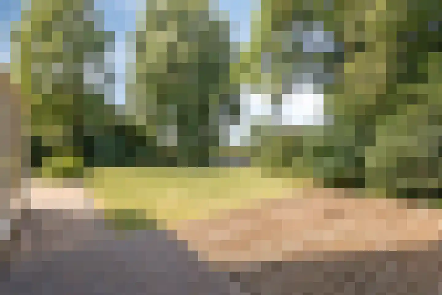 Molenwerf 4 Edam thumbnail 13