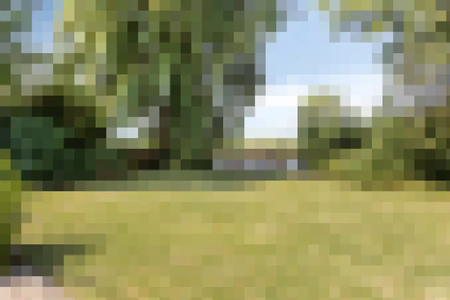 Molenwerf 4 Edam thumbnail 15