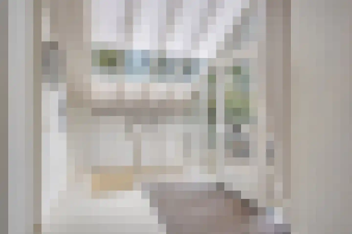 Molenwerf 4 Edam thumbnail 16