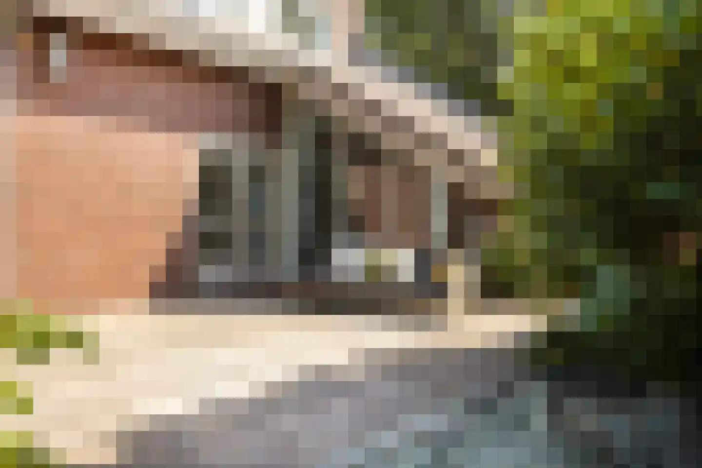 Molenwerf 4 Edam thumbnail 19