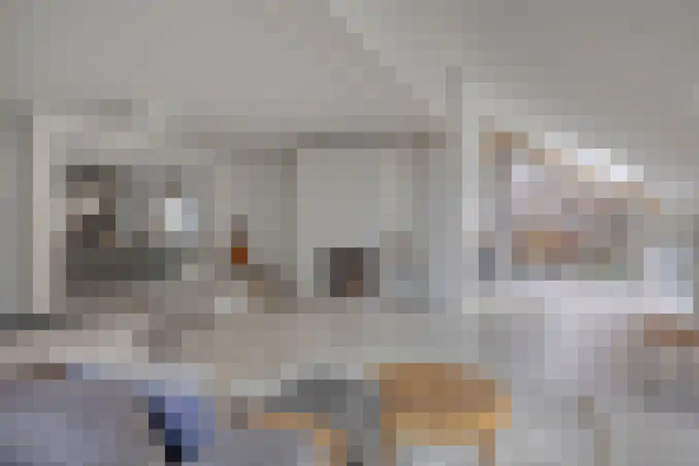 Molenwerf 4 Edam thumbnail 22