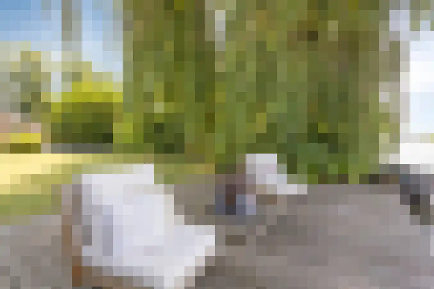 Molenwerf 4 Edam thumbnail 23