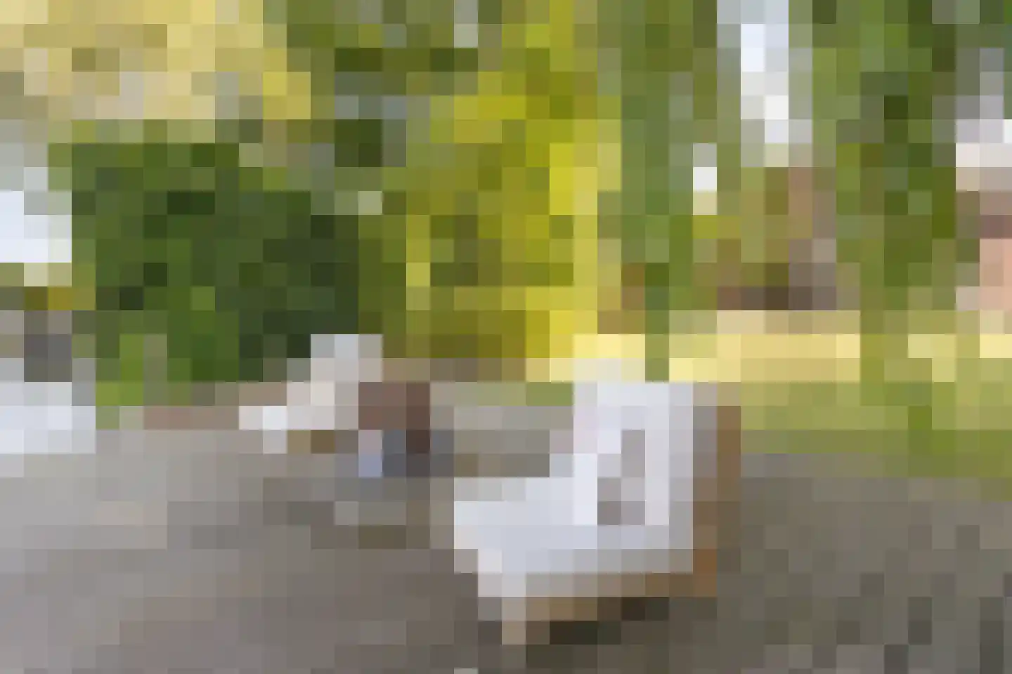 Molenwerf 4 Edam thumbnail 25